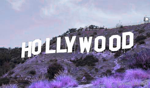 Hollywood Auto Leasing New Car Sales Hollywood